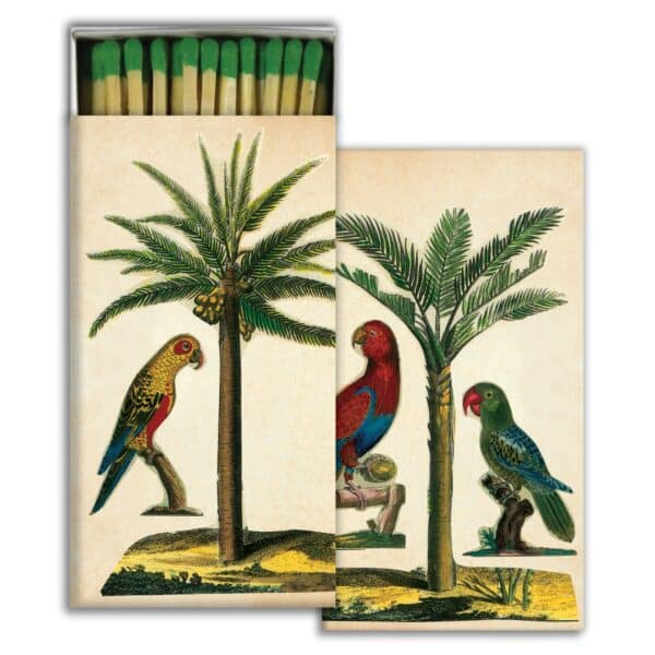 Matches, Palm & Parrot